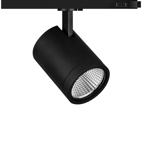 Accent | Track Mounted Spotlight | Whitecroft Lighting